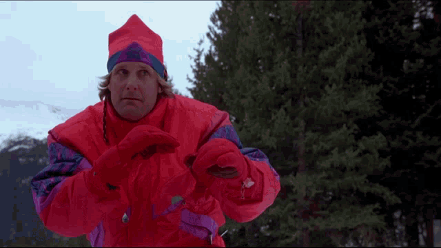 Dumb And Dumber Harry GIF - Dumb And Dumber Harry Laughing GIFs