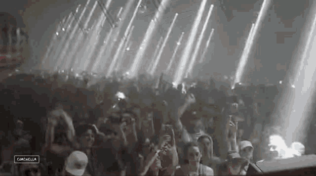 a crowd of people are dancing in a dark room at a music festival .