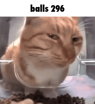 a cat is eating food from a bowl with the words `` balls 296 '' above it .