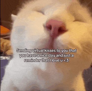a white cat is sending virtual kisses to you that you have a nice day and just a reminder that i love u