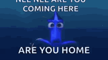 a close up of dory 's eyes with the words `` all of you coming here are you home '' written on it .