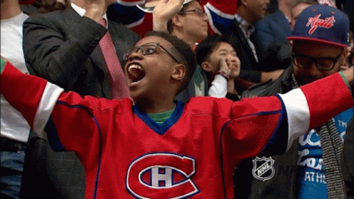 Montreal Canadiens Habs GIF - Montreal Canadiens Habs Go Habs Go GIFs