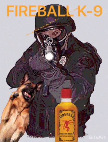 Fireball Police GIF - Fireball Police Whiskey GIFs