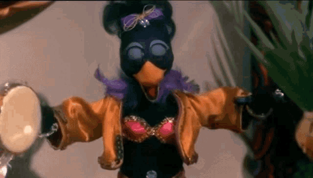 a black chicken with a purple feathered collar is holding a tambourine