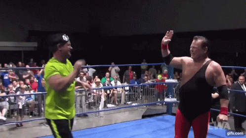 Jerry Lawler Brian Christopher GIF - Jerry Lawler Brian Christopher GIFs