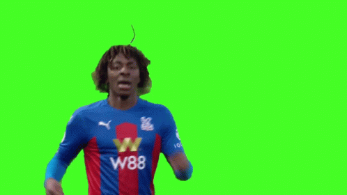 Eze Cpfc GIF - Eze Cpfc Crystalpalace GIFs