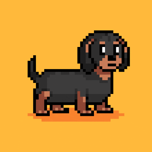 a pixel art drawing of a dachshund standing on a yellow background