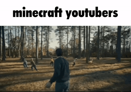 Minecraft Memes Minecraft Youtubers GIF - Minecraft Memes Minecraft Youtubers Minecraft GIFs