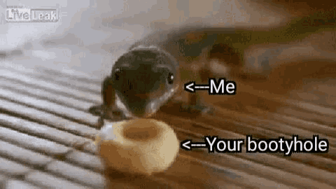 a lizard is eating a donut on a wooden table and says `` me '' and `` your bootyhole '' .