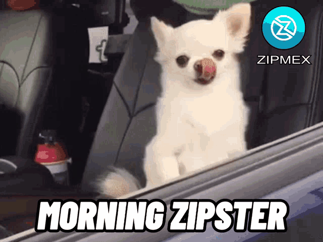 Good Morning Morning GIF - Good Morning Morning Zipmex GIFs