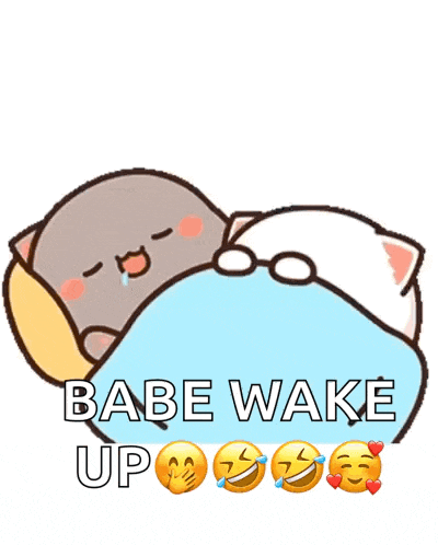 a cartoon of two cats laying under a blanket with the words babe wake up