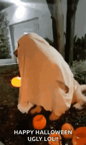 a dog is dressed up as a ghost and is surrounded by pumpkins .