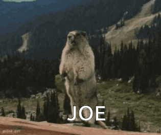 Joe Beaver GIF - Joe Beaver GIFs
