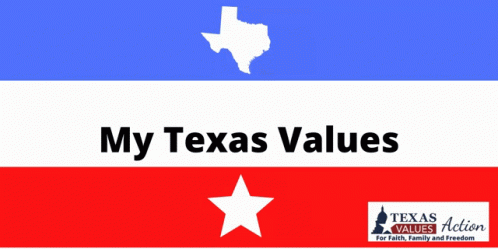 Texas Texas Values GIF