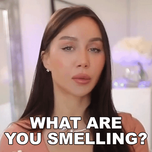 What Are You Smelling Lisa Alexandra GIF - What Are You Smelling Lisa Alexandra Coco Lili GIFs