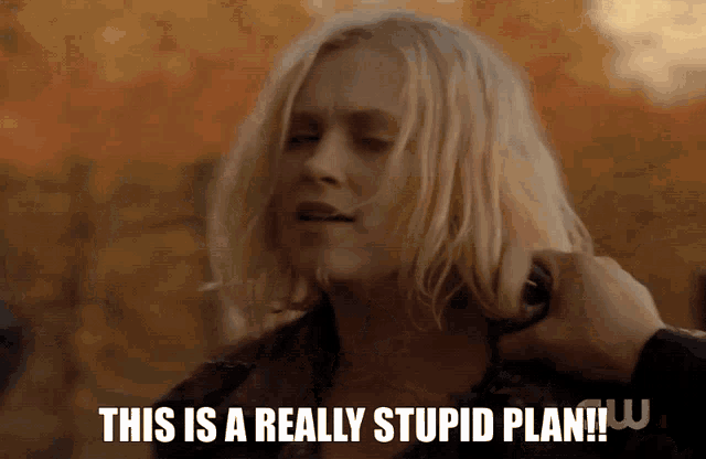 a woman with blonde hair says " this is a really stupid plan ! "