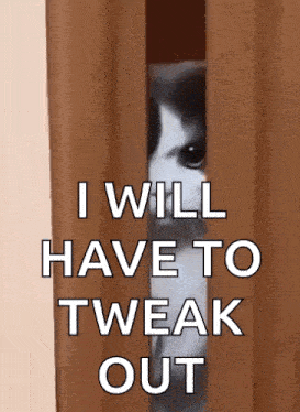a cat peeking out from behind a curtain with the words " i will have to tweak out "
