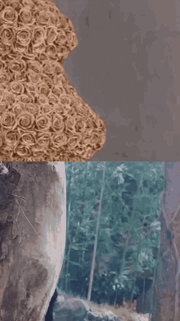 a teddy bear with roses on it is next to a man in a forest