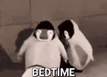 a couple of stuffed penguins standing next to each other with the words `` bedtime '' written on the bottom .