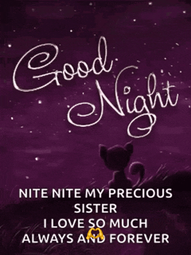 a picture of a cat with the words good night written on it