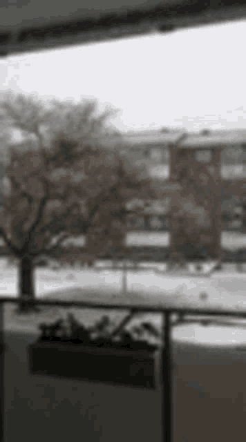 Snow Day Storm GIF - Snow Day Storm Winter GIFs