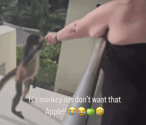 a picture of a woman feeding a monkey with the caption his monkey ass do n't want that apple