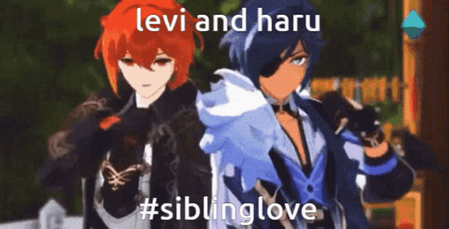 two anime characters standing next to each other with the caption levi and haru #siblinglove .