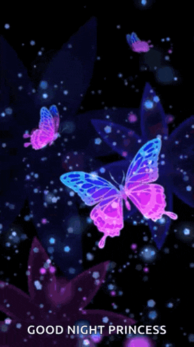purple and blue butterflies on a black background with the words good night princess below them
