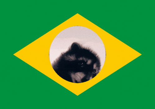 a green and yellow flag with a raccoon in the center