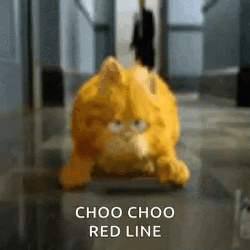 Garfield Choo Choo GIF - Garfield Choo Choo Red Line GIFs