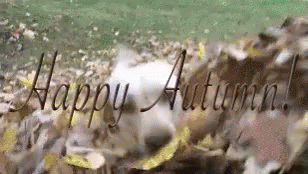 Happy Autumn GIF - Happy Autumn GIFs