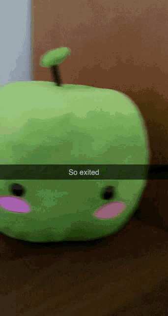 a green stuffed apple with the words so exited written on it