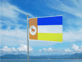 a blue and yellow flag with a lion on it