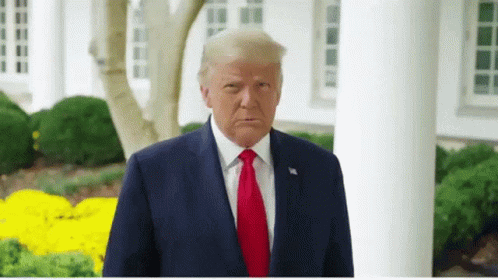 Donald Trump Drain The Swamp GIF - Donald Trump Trump Donald GIFs