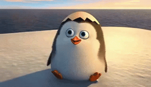 Cute Animals GIF - Cute Animals Penguin GIFs