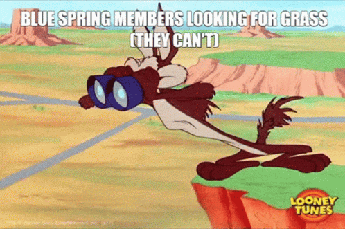Blue Spring Looking For Grass GIF - Blue Spring Looking For Grass Touching Grass GIFs