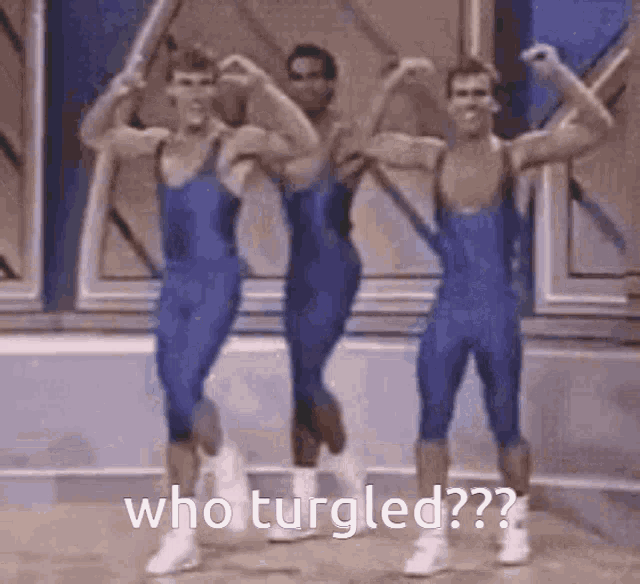 Turgle Who Turgled GIF - Turgle Who Turgled Ohlain GIFs