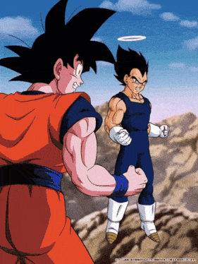 a picture of goku and vegeta from dragon ball