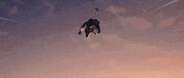 a moth is flying through the air in a sunset sky .