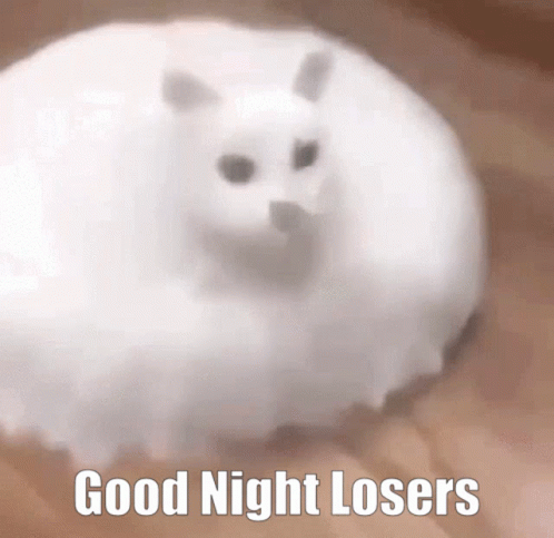 Good Night Losers GIF - Good Night Losers Good Night Losers GIFs