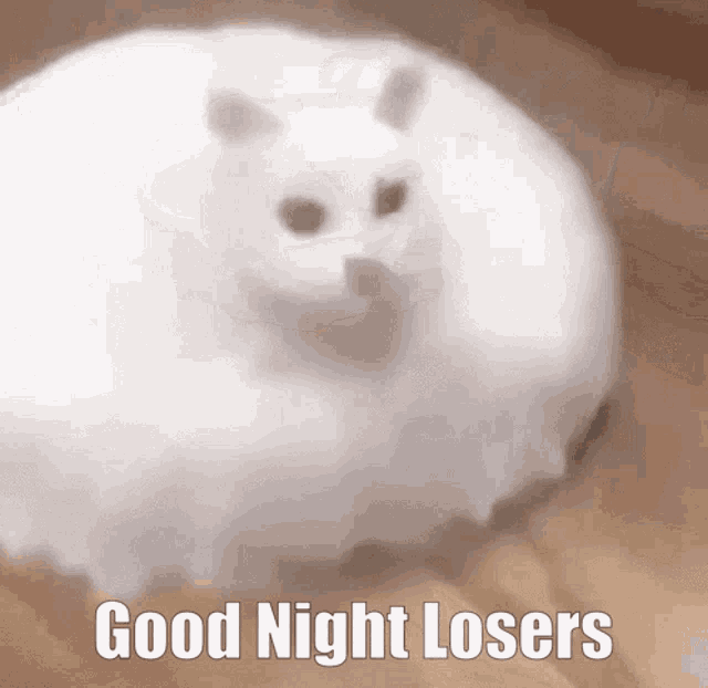 a white cat with the words good night losers on it