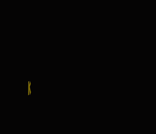a black background with yellow text that says #garabuta jig