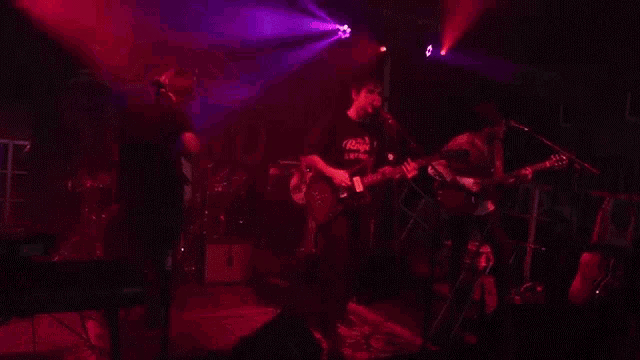 a man is playing a guitar and singing into a microphone on a stage .