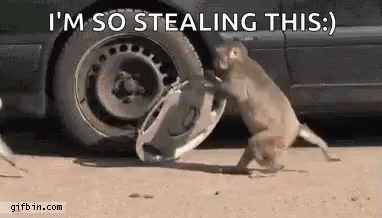 Monkey Car GIF - Monkey Car Steal GIFs