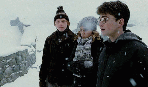 Harry Potter Snow GIF - Harry Potter Snow Hermione GIFs