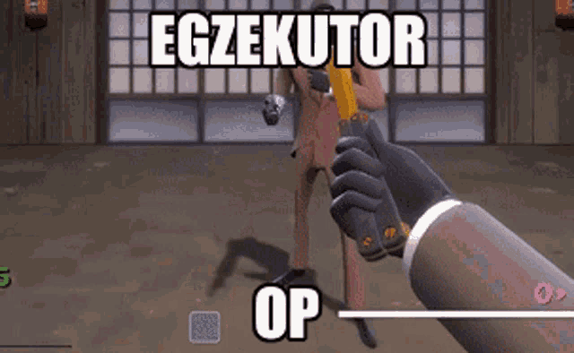 a video game scene with a hand holding a gun and the words egzekutor op on the bottom
