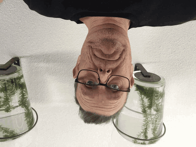 a man wearing glasses and a black shirt is upside down next to a glass filled with green algae