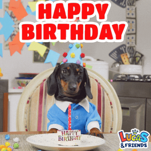 a dachshund wearing a party hat is celebrating his birthday with lucas and friends