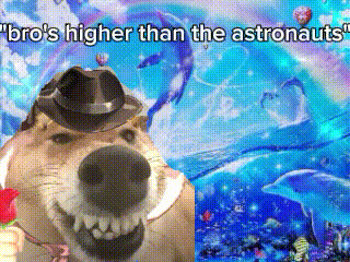 a dog wearing a hat with the words " bro 's higher than the astronauts " written above it