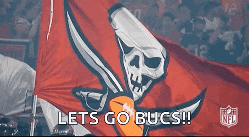 a nfl flag with a skull and crossbones on it